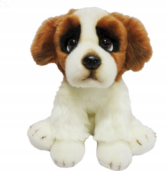 Picture of Smily Play Pies bernardyn 30cm SmilyPlay 84404BE 47753