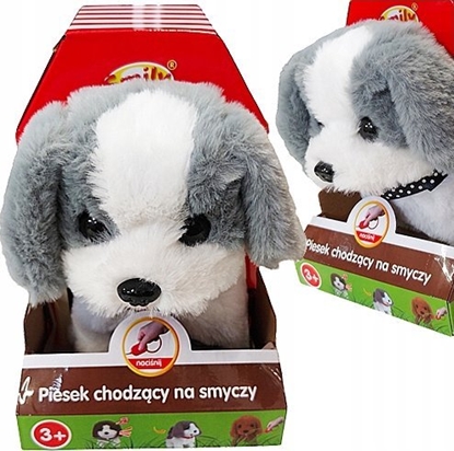 Picture of Smily Play Piesek chodzcy na smyczy Smily Play SP85184 51842