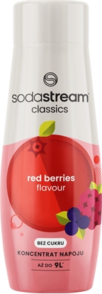 Picture of Sodastream Syrop Owoce lene 440ml