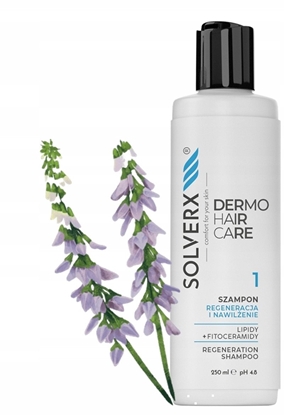 Изображение SOLVERX Dermo Hair Szampon do wosów Regeneracja i nawilenie 250 ml