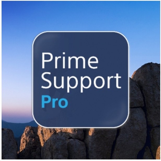 Picture of Sony 2Y PrimeSupport Pro 1 x licencja 2 lat(a)