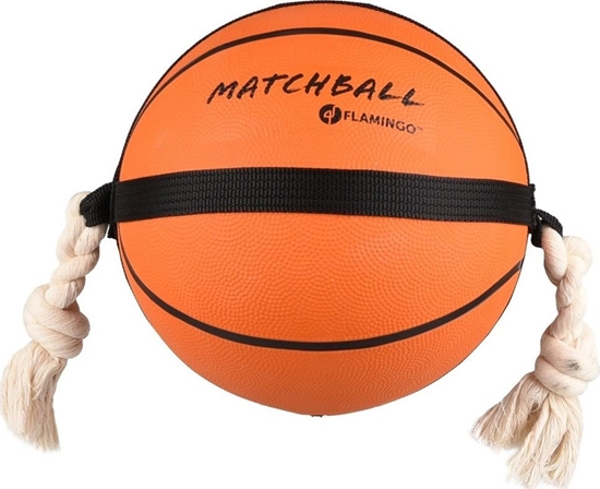 Picture of Sourcing DOG TOY 5345417