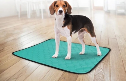 Attēls no Sourcing REUSABLE ABSORB PADS GREEN 101X64.5CM