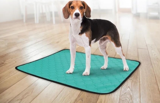 Picture of Sourcing REUSABLE ABSORB PADS GREEN 101X64.5CM