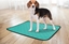 Attēls no Sourcing REUSABLE ABSORB PADS GREEN 101X64.5CM