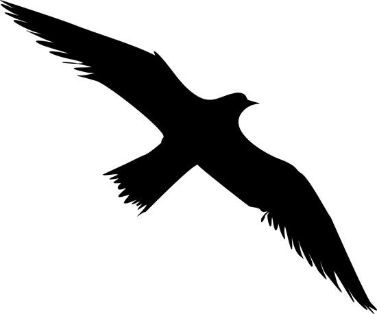 Picture of Sourcing Swissinno Bird window sticker (5 pcs of bird collision prevention stickers)