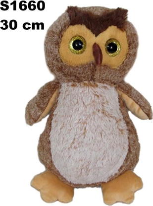 Picture of Sowa 30cm