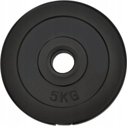 Изображение Spartan Sport Obcienie cementowe talerz 5 kg