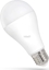 Picture of Spectrum LED LED GLS E-27 230V 15W CW SPECTRUM himp