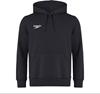Picture of Speedo Mska Bluza CLUB HOODY AM