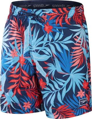 Attēls no Speedo Mskie szorty Print Redondo r. XL
