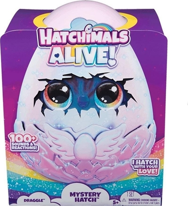 Attēls no Spin Master - Hatchimals Alive Mystery Hatch Draggle A+