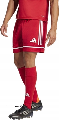 Picture of Spodenki adidas SQUADRA 25 Short JN5466