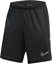 Picture of Spodenki Nike Academy 25 Short FZ9776-010