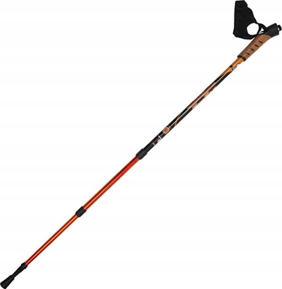 Изображение Sportech Kije trekkingowe