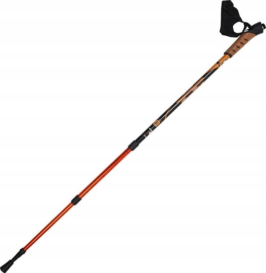 Picture of Sportech Kije trekkingowe