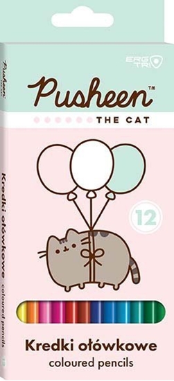 Picture of St. Majewski KREDKI OLO 12KOL/180 PUSHEEN FO PUD