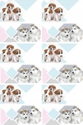 Picture of Starpak I NAKLEJKI NA ZESZYT STK PIESEK PBH 120/1200