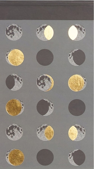 Picture of Starpak NOTES 92X163/60K MOON STK PB 12/96