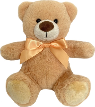 Picture of Steiff TOY PLUSH TEDDY BEAR 20CM 04-1369