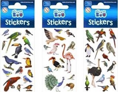 Attēls no STICKERBOO NAKLEJ PTAKI2 66X180 S-BOO PBH 120/1800