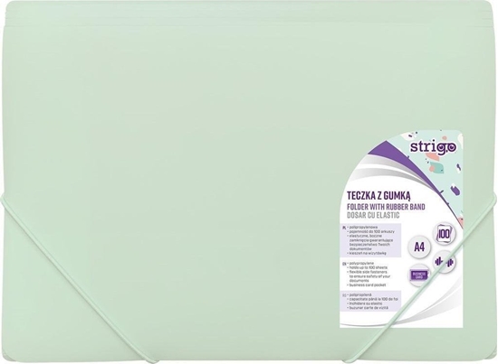 Изображение Strigo TECZKA Z GUMKA A4 PP PASTEL MIETA