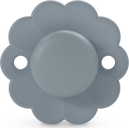 Picture of SUAVINEX - 308393-SMOCZEK FIZJOLOGICZNY   SX PRO SILIKONOWY/6-18M/LAKE/WONDER