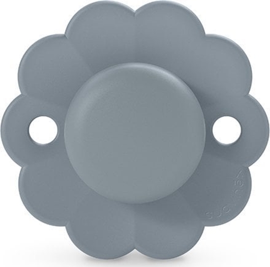 Picture of SUAVINEX - 308393-SMOCZEK FIZJOLOGICZNY   SX PRO SILIKONOWY/6-18M/LAKE/WONDER