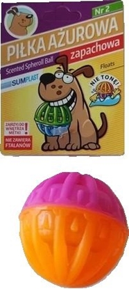 Picture of Sum Plast SUM-PLAST ZABAWKA PIKA AUROWA 4   /4