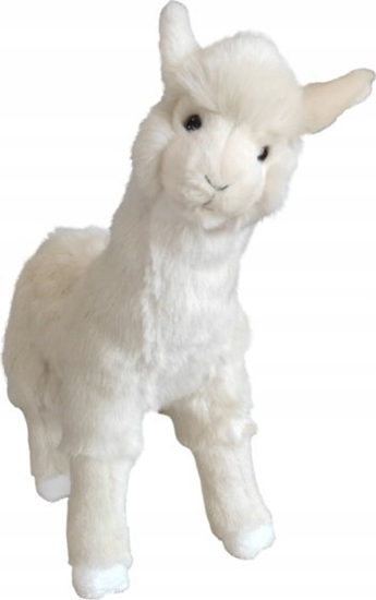 Picture of Sun-Day Alpaka biaa 28cm