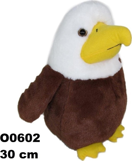 Picture of Sun-Day Orze O-602 30cm 164315