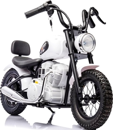 Picture of Sunday Zwierzta Z-2629 4rodz 20cm 169419