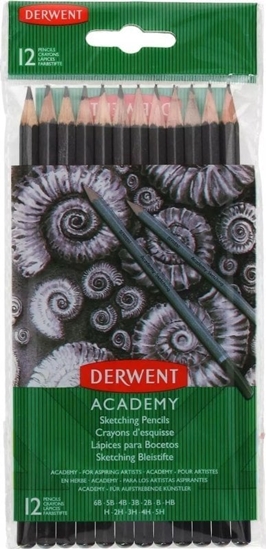 Picture of Swanson O��wki Derwent w folii 12 5H-6B