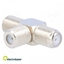 Изображение T adapteris | F ligzda x4