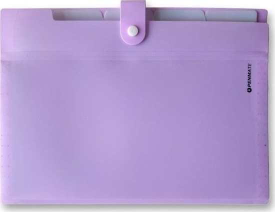 Picture of Tadeo Trading Teczka z 5-ma przegródkami A4 PENMATE PP-105 pastelowa - fioletowa