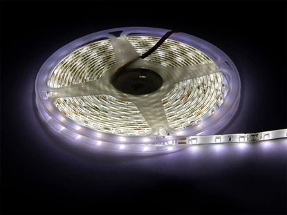 Изображение Tama LED Blow 70-732# Tama led biay neutr. 2835 5m/300wodood