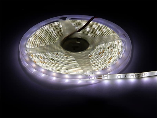 Изображение Tama LED Blow 70-732# Tama led biay neutr. 2835 5m/300wodood