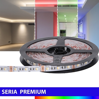 Picture of Tama LED Prescot Prescot Premium E020-050-10-RGB+NW tama LED biaa