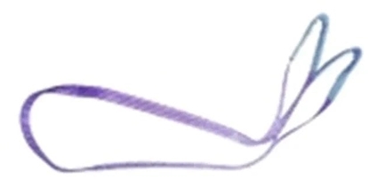 Attēls no Target Ladungssicherung 90501 Løftebånd Arbejdsbelastning (WLL)=1 t Violet