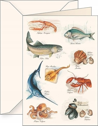 Picture of Tassotti Karnet B6 + koperta 5609 Morze