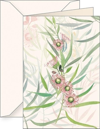 Изображение Tassotti Karnet B6 + koperta 6123 Eukaliptus kamaldulski