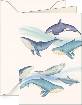 Изображение Tassotti Karnet B6 + koperta 6144 Ssaki morskie