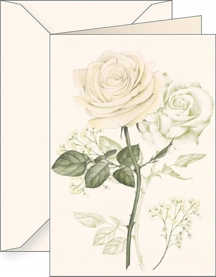 Изображение Tassotti Karnet B6 + koperta 6164 Biaa róa