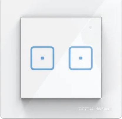 Picture of TECH Sterowniki Przewodowy wcznik dwupolowy biay FS-02M Tech Sterowniki