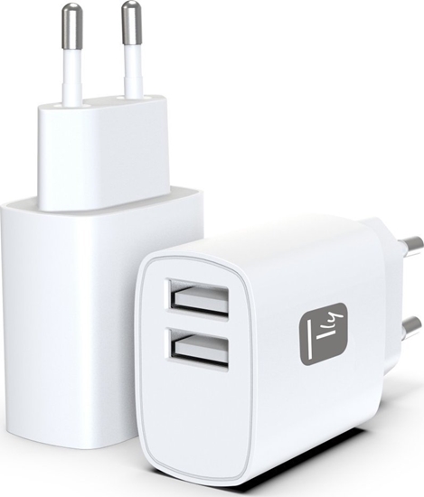 Picture of Techly IPW-USB-12W2A adowarka do urzdze przenonych Suchawki, Przenony gonik, Power bank, Smartfon, Tablet Biay Prd przemienny Wewntrzna