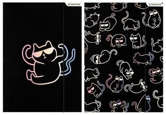 Picture of TECZKA Z GUMKA PAP A4 KITTY HOLO STK 10/100