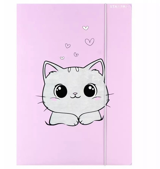 Изображение TECZKA Z GUMKA PAP A4 KOTEK PLUSZ STK FOL10/100