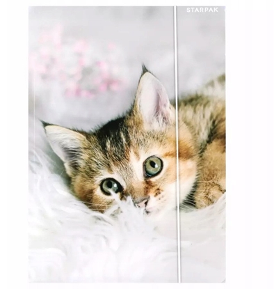 Attēls no TECZKA Z GUMKA PAP A4 KOTKI STK FOL10/100