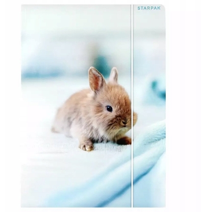 Attēls no TECZKA Z GUMKA PAP A4 KROLIK STK FOL10/100