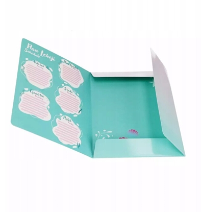 Изображение TECZKA Z GUMKA PAP A4 SHELL STK FOL10/100